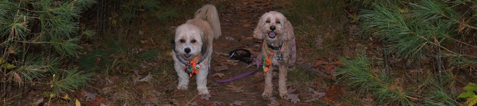 Mandy and Lexi