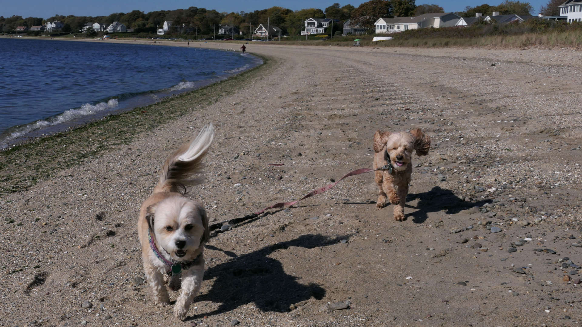 Barrington Town Beach