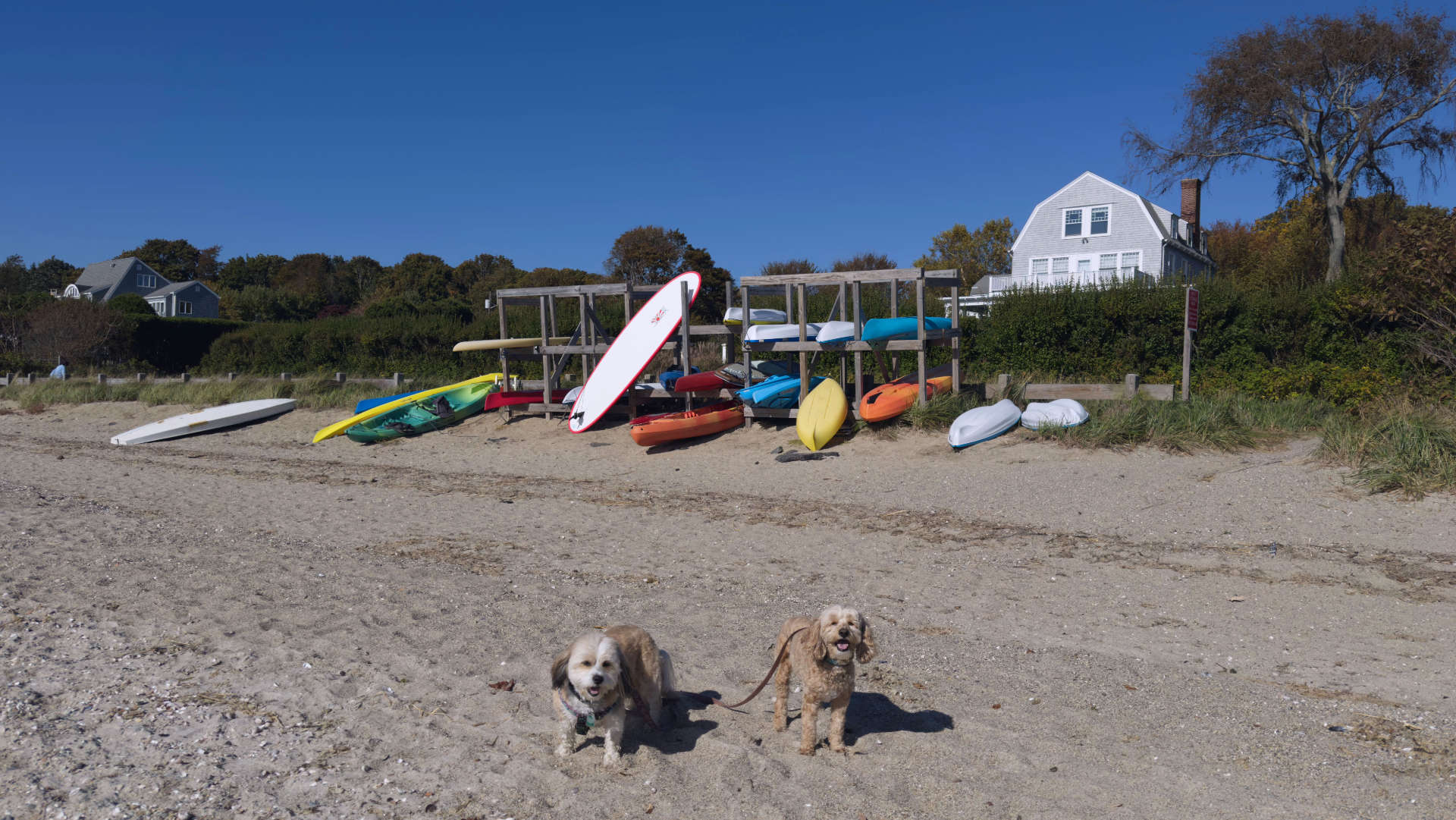 Barrington Town Beach