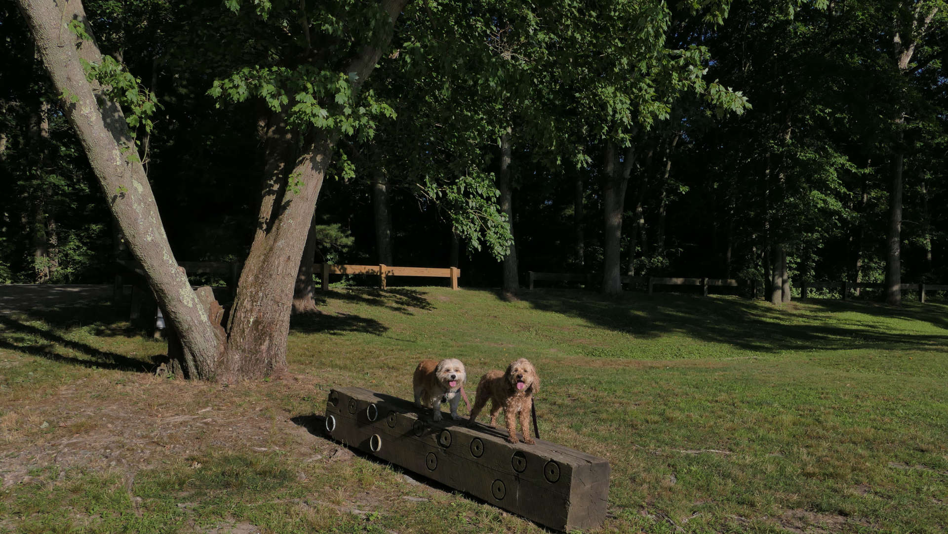 Brickyard Pond Conservation Area