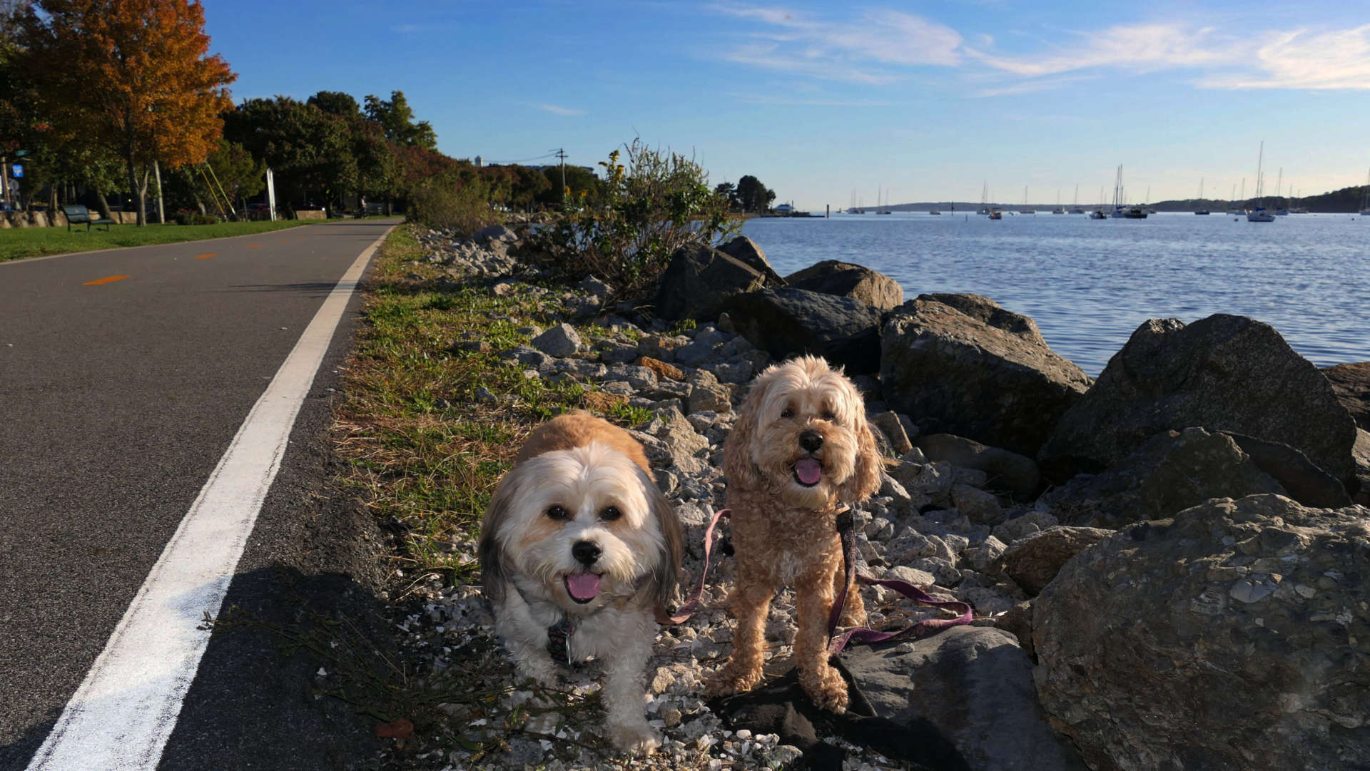 East Bay Bike Path