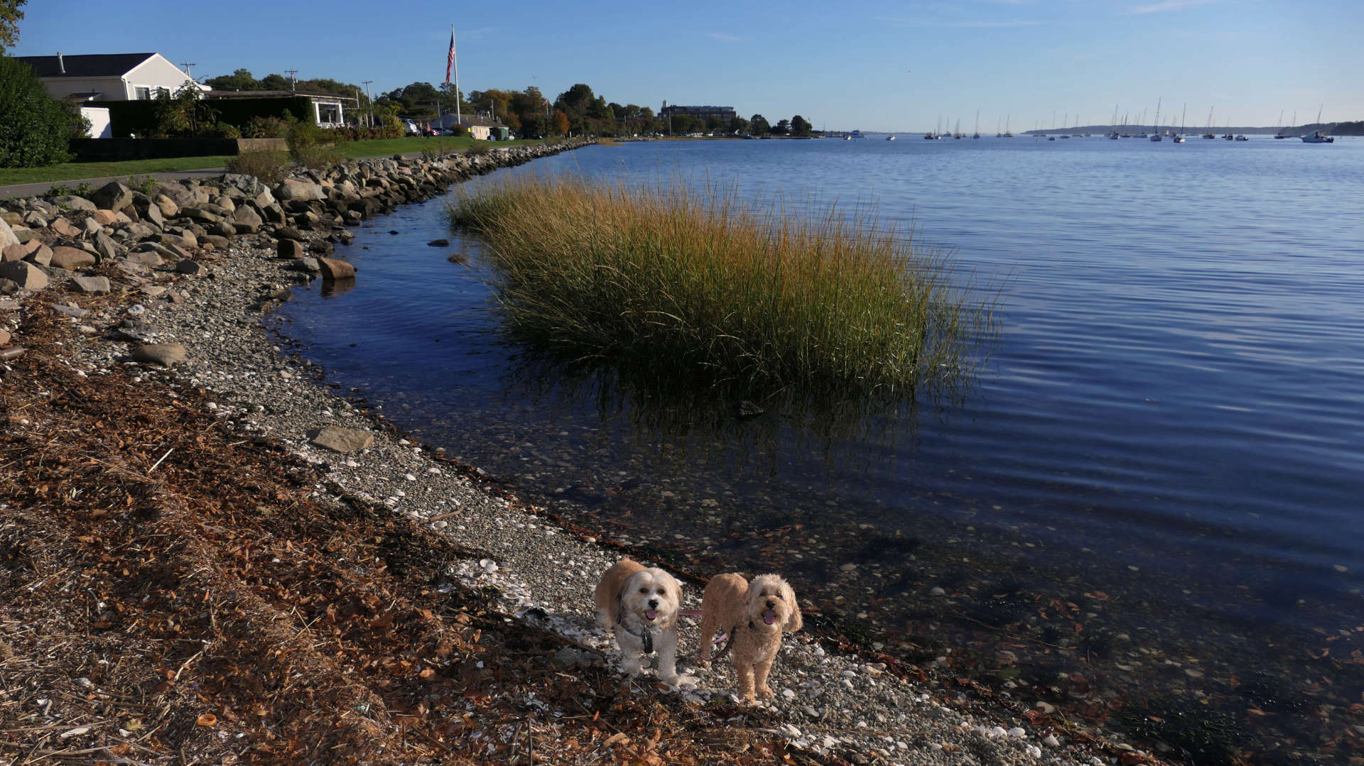 East Bay Bike Path