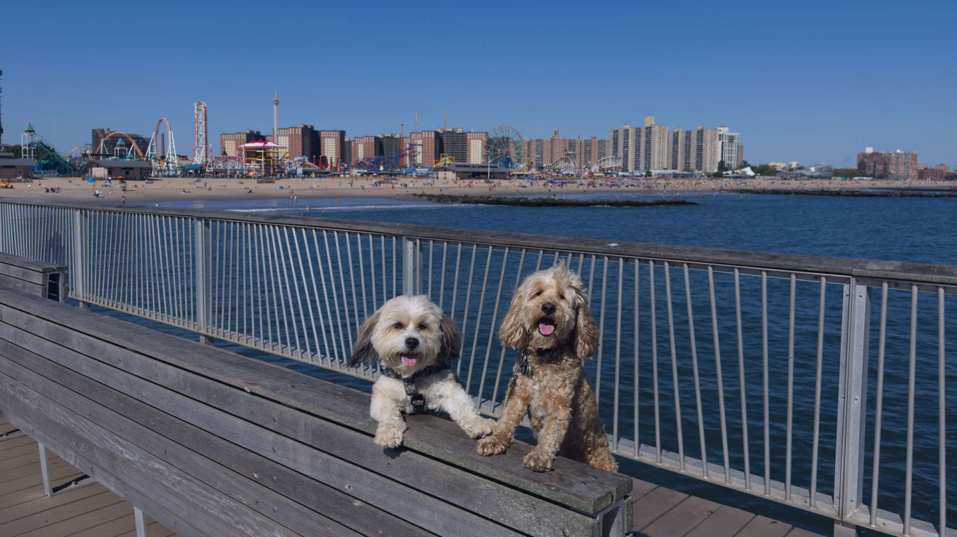 Coney Island