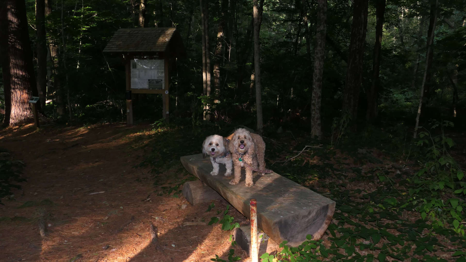 Nipmuc River Trail