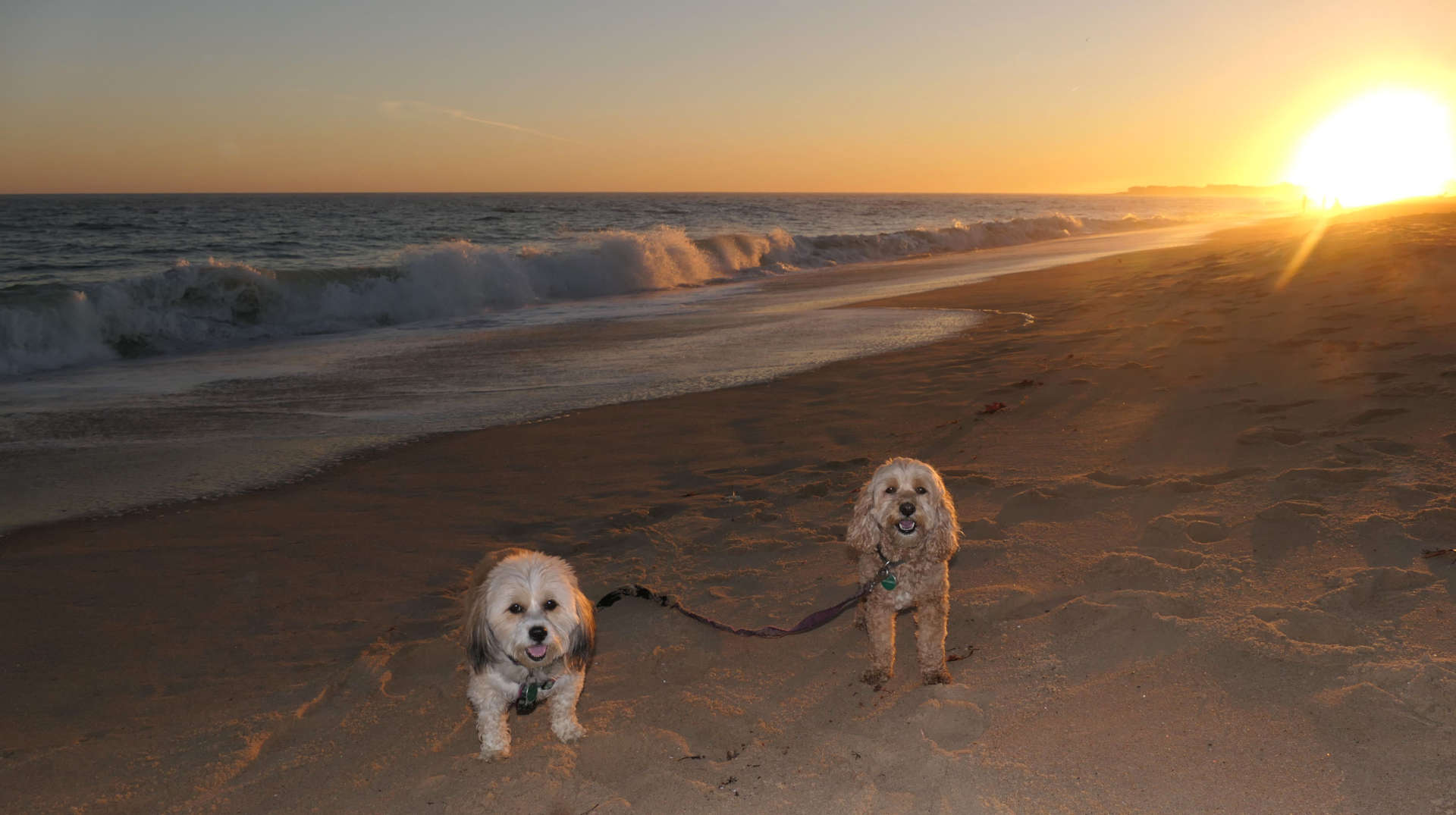 East Beach Beach