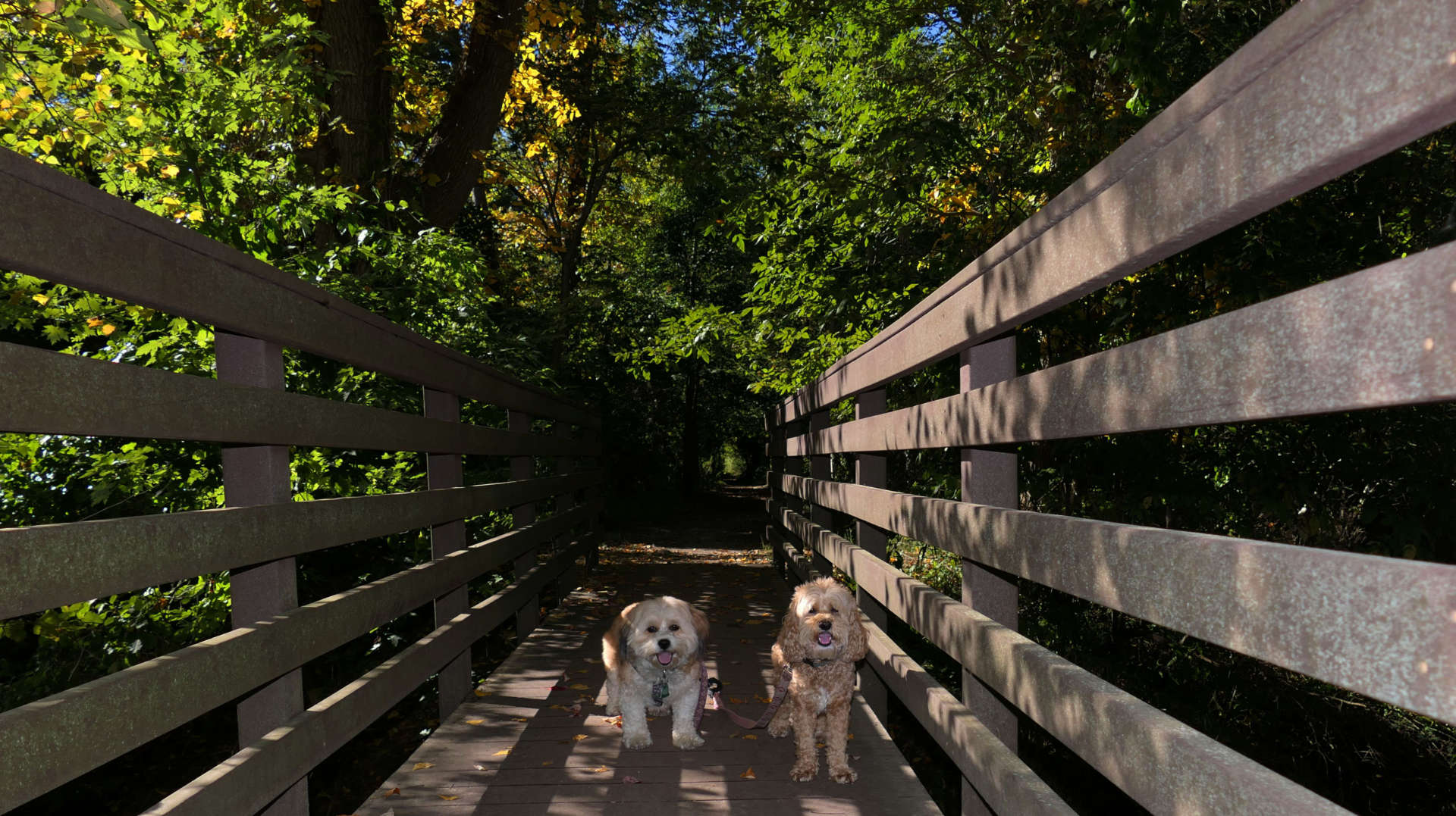 Pawtuxet Village & Trail