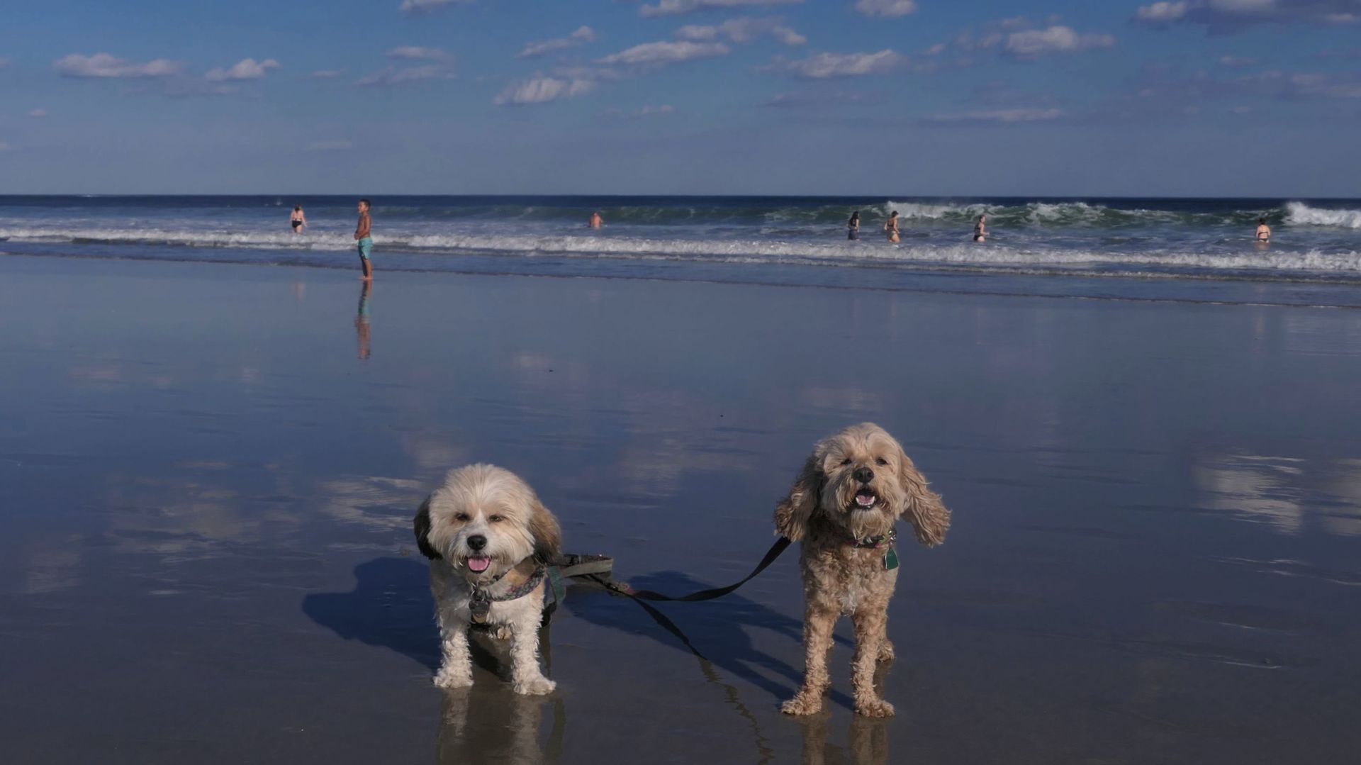 Hampton Beach