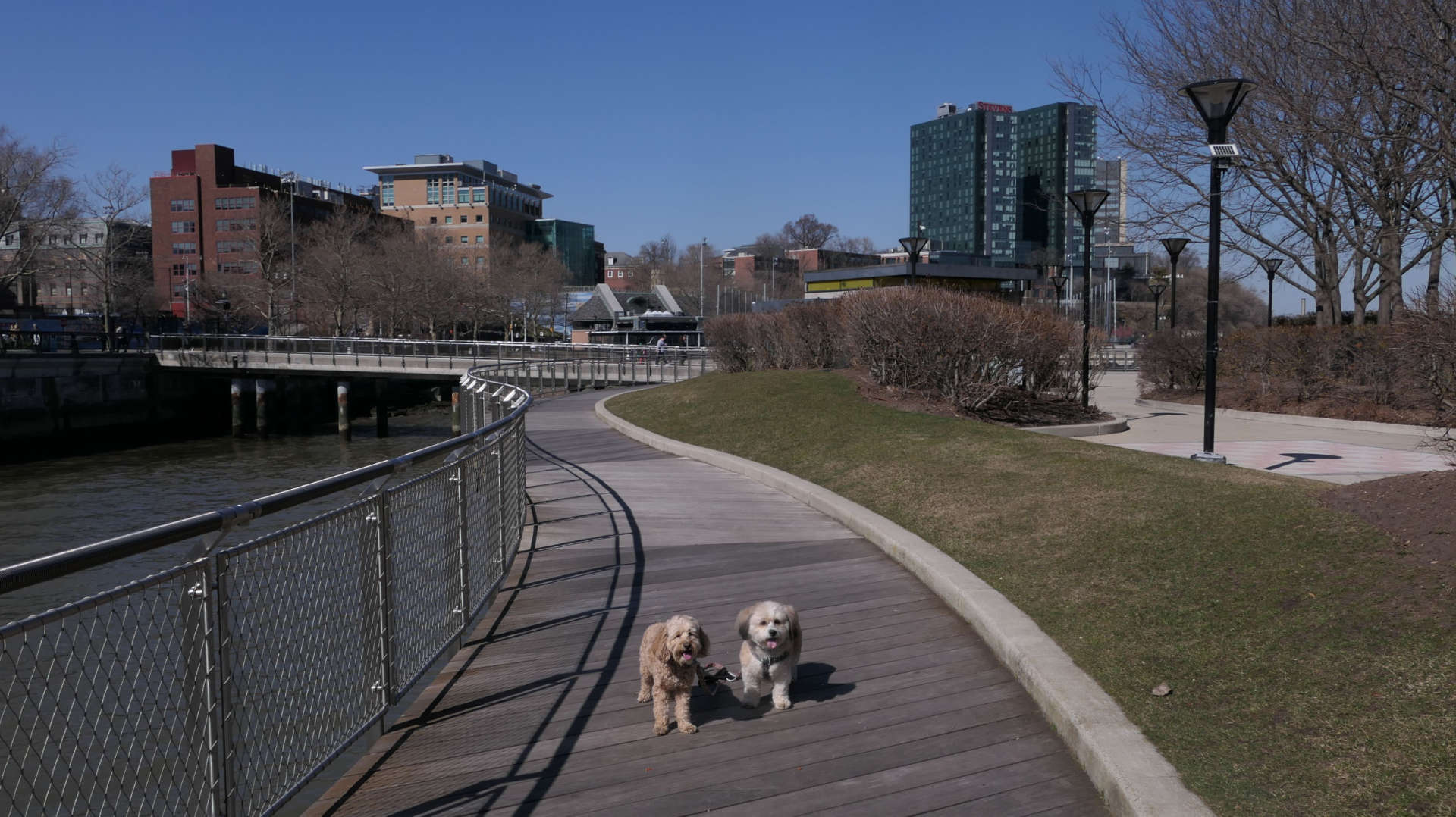 Hoboken8