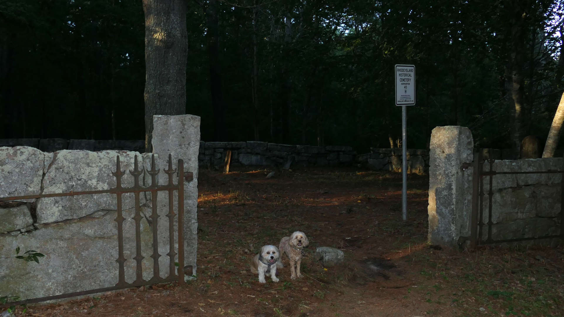 Black Farm Management Area