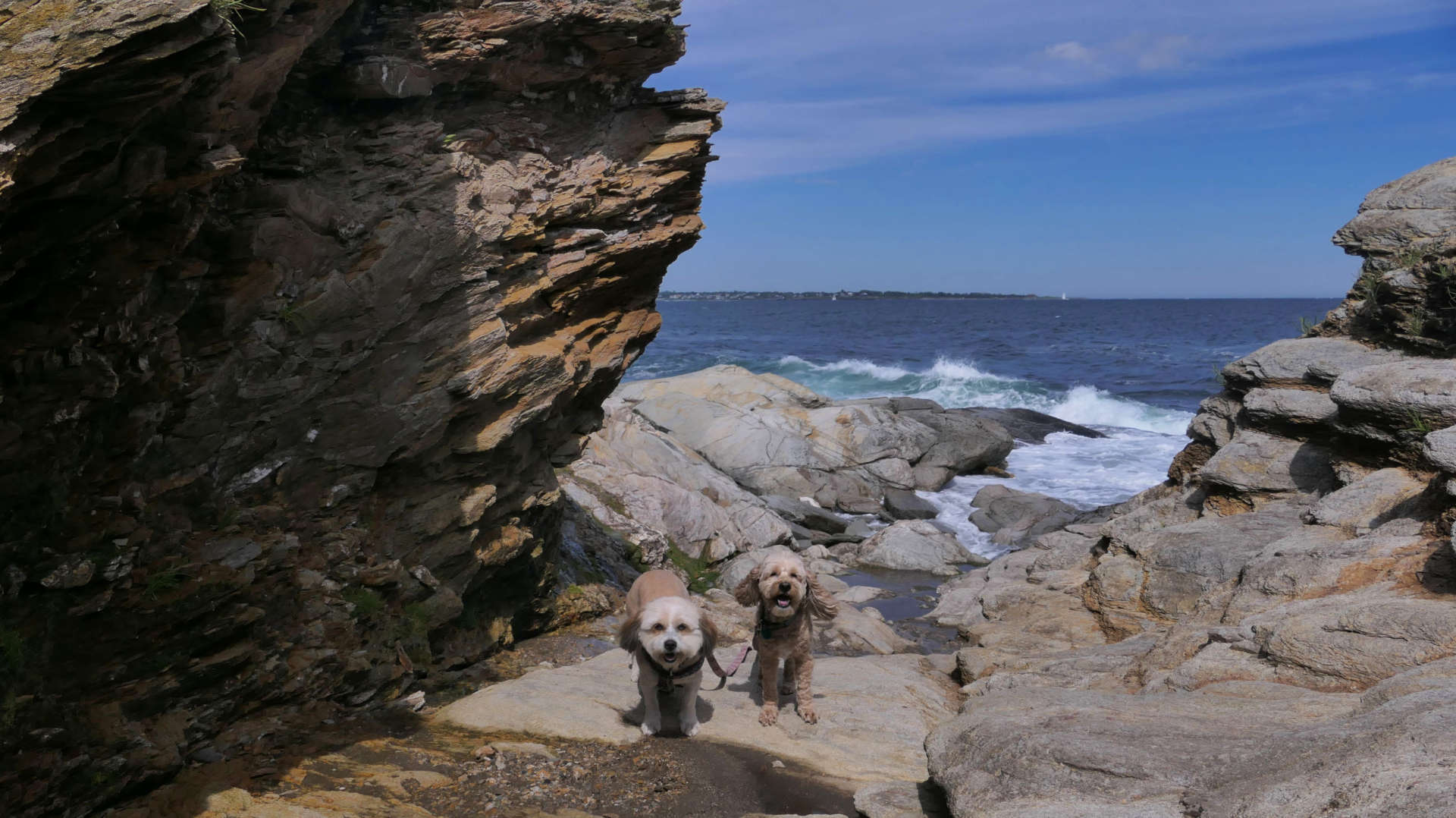 Beavertail State Park