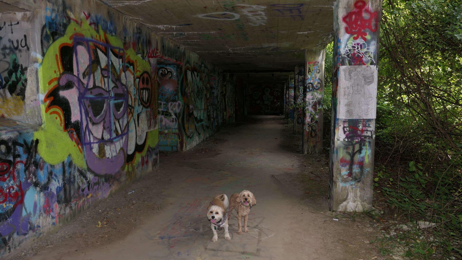 Fort Wetherill State Park