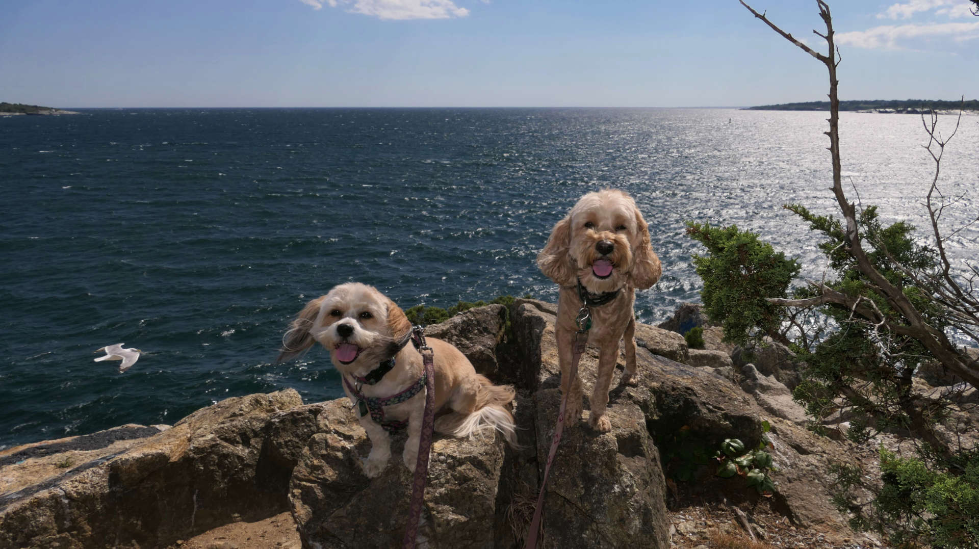 Fort Wetherill State Park