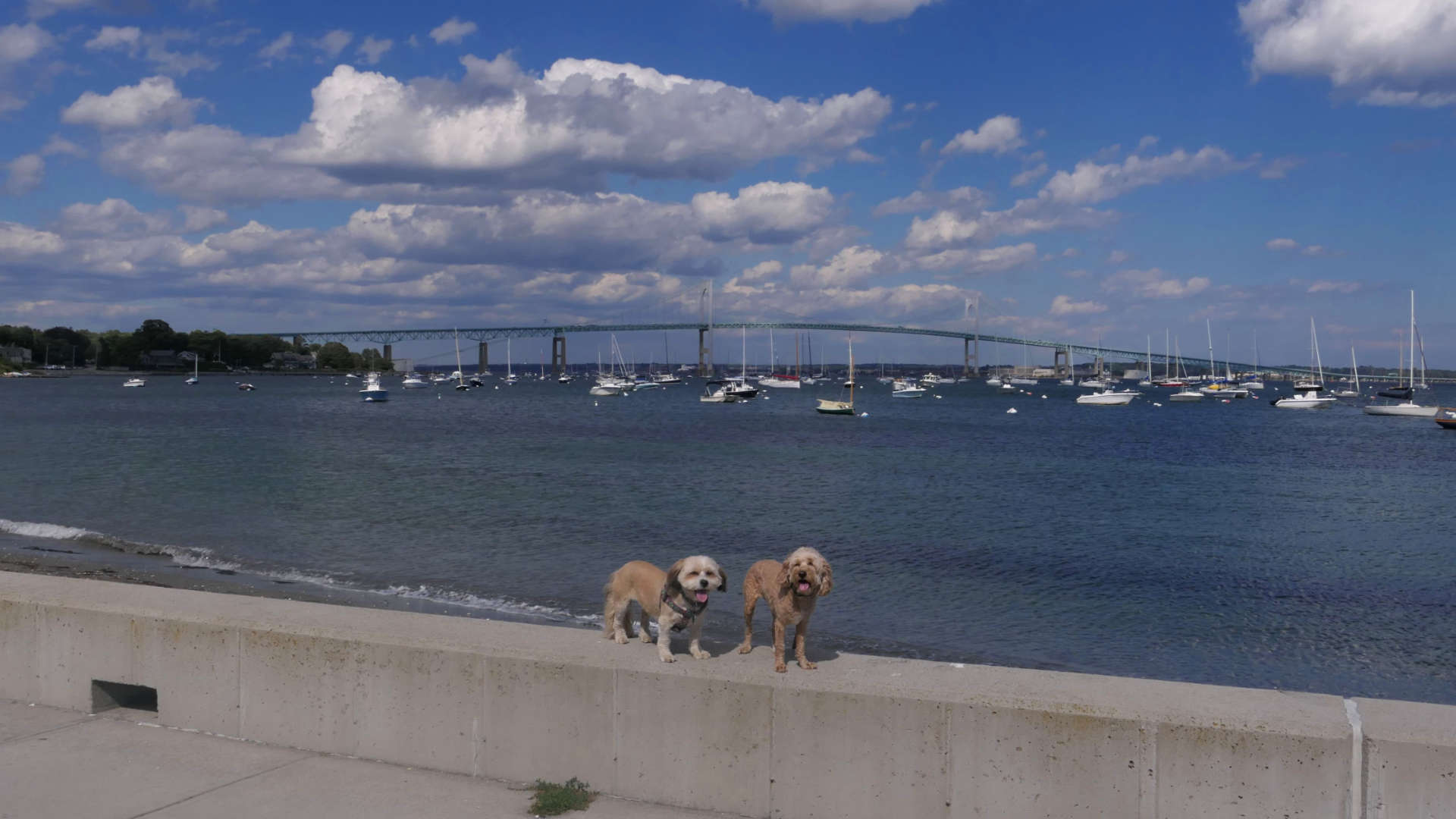 Conanicut Marina