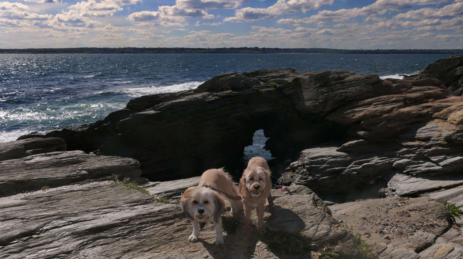 Beavertail State Park