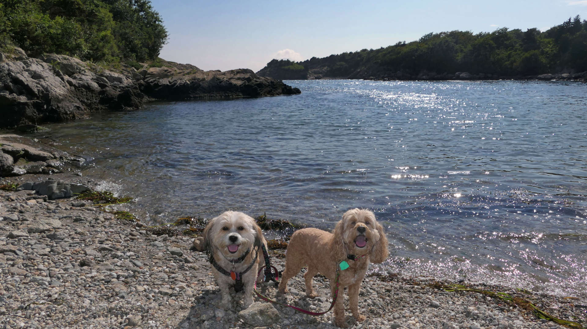 Fort Wetherill State Park