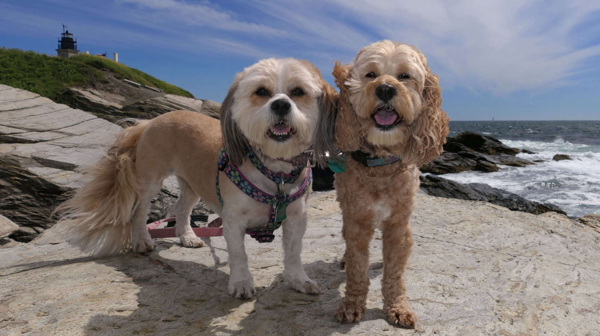 Beavertail State Park