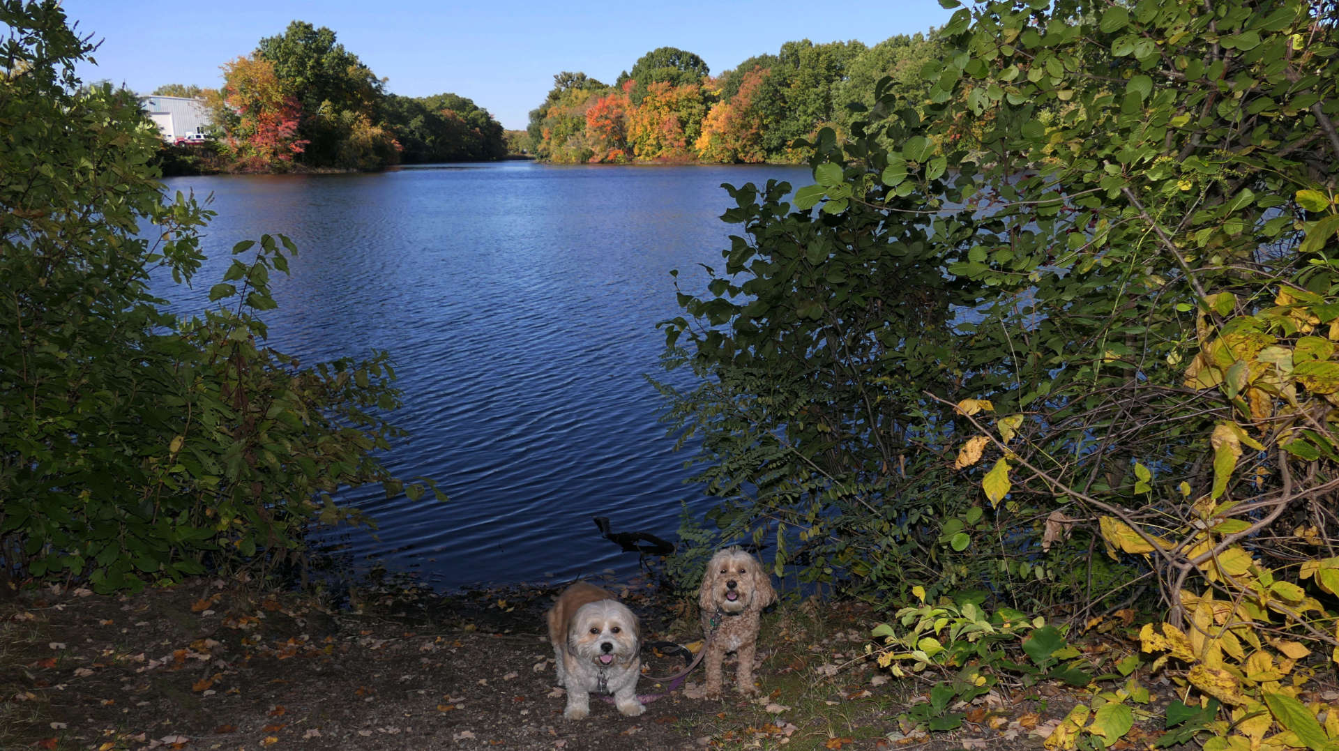 Woonasquatucket River Greenway