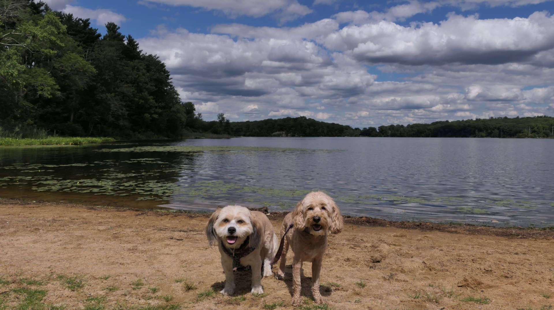 Lincoln Woods State Park