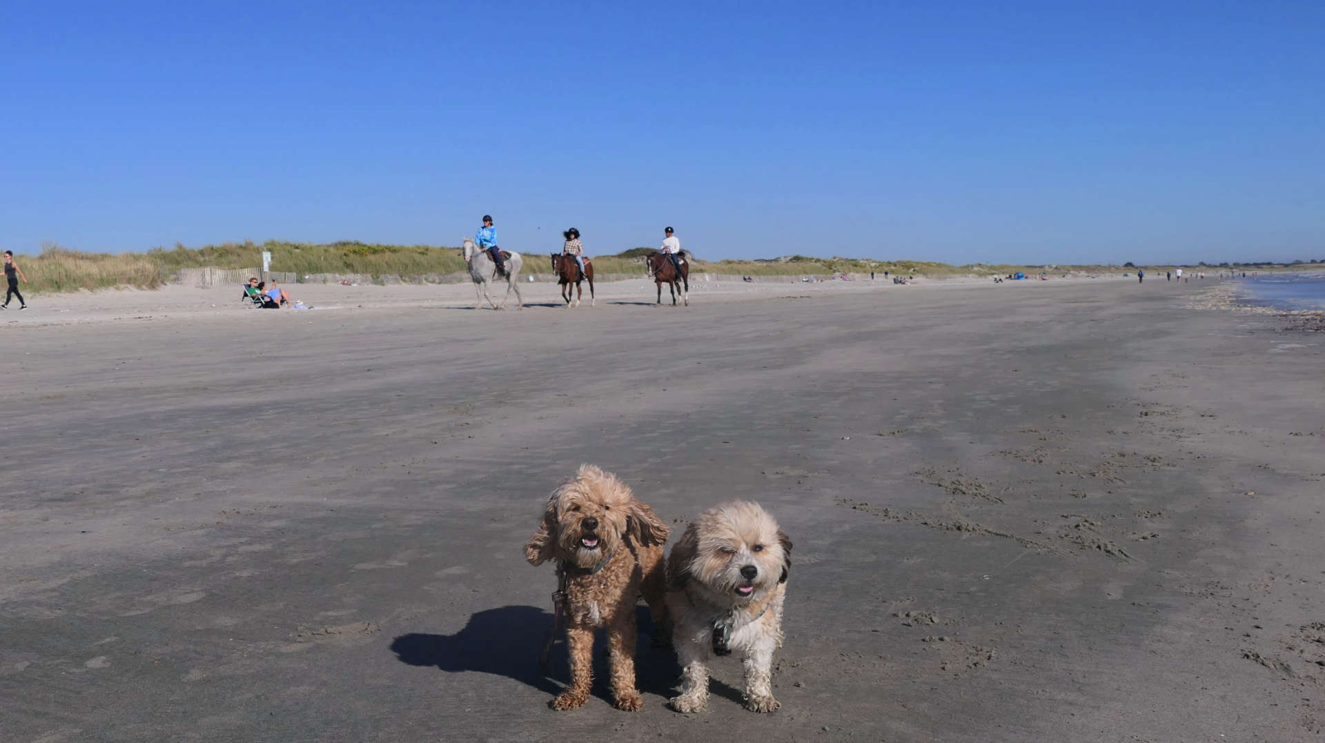 Sachuest Beach