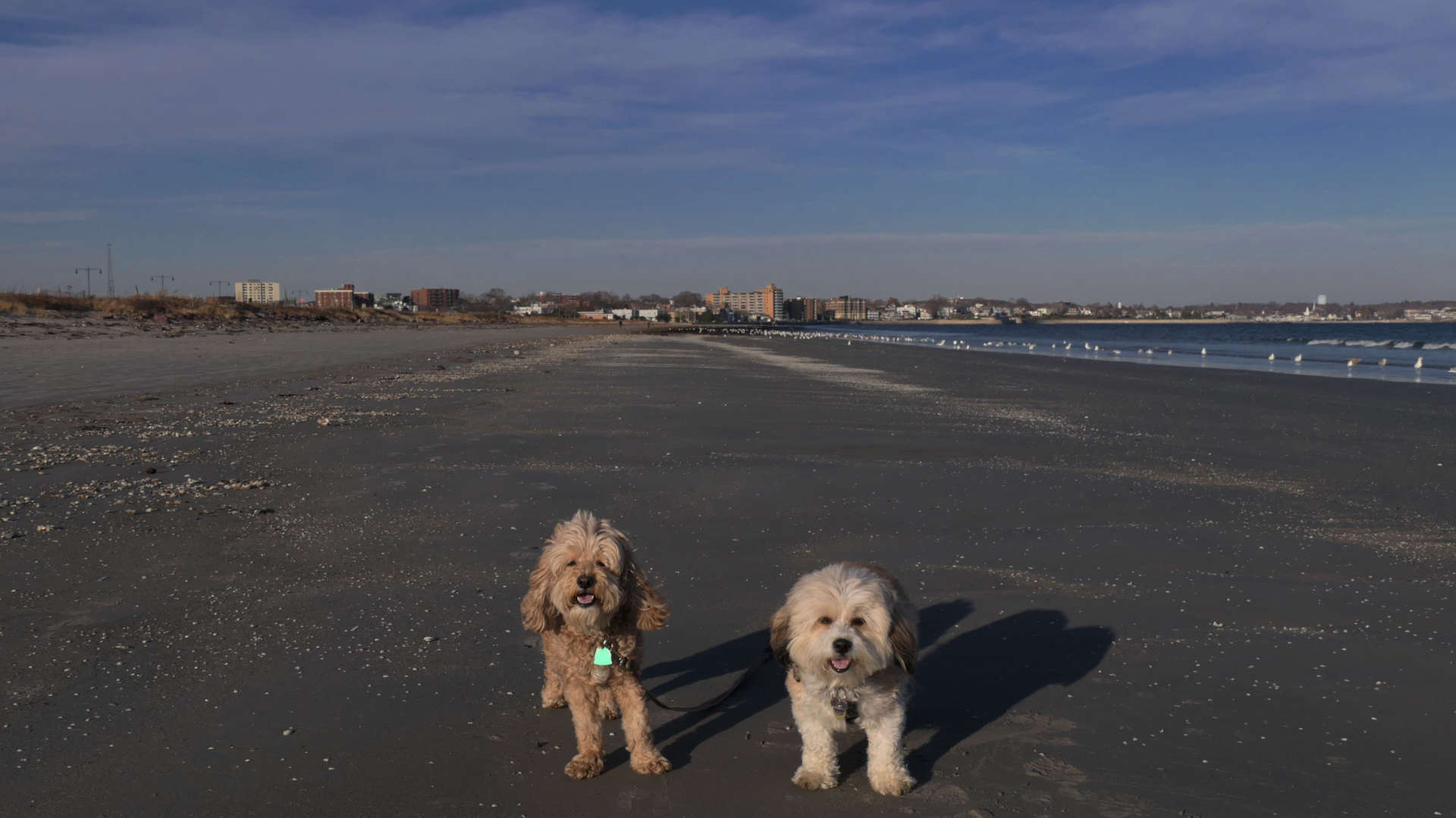 Nahant10