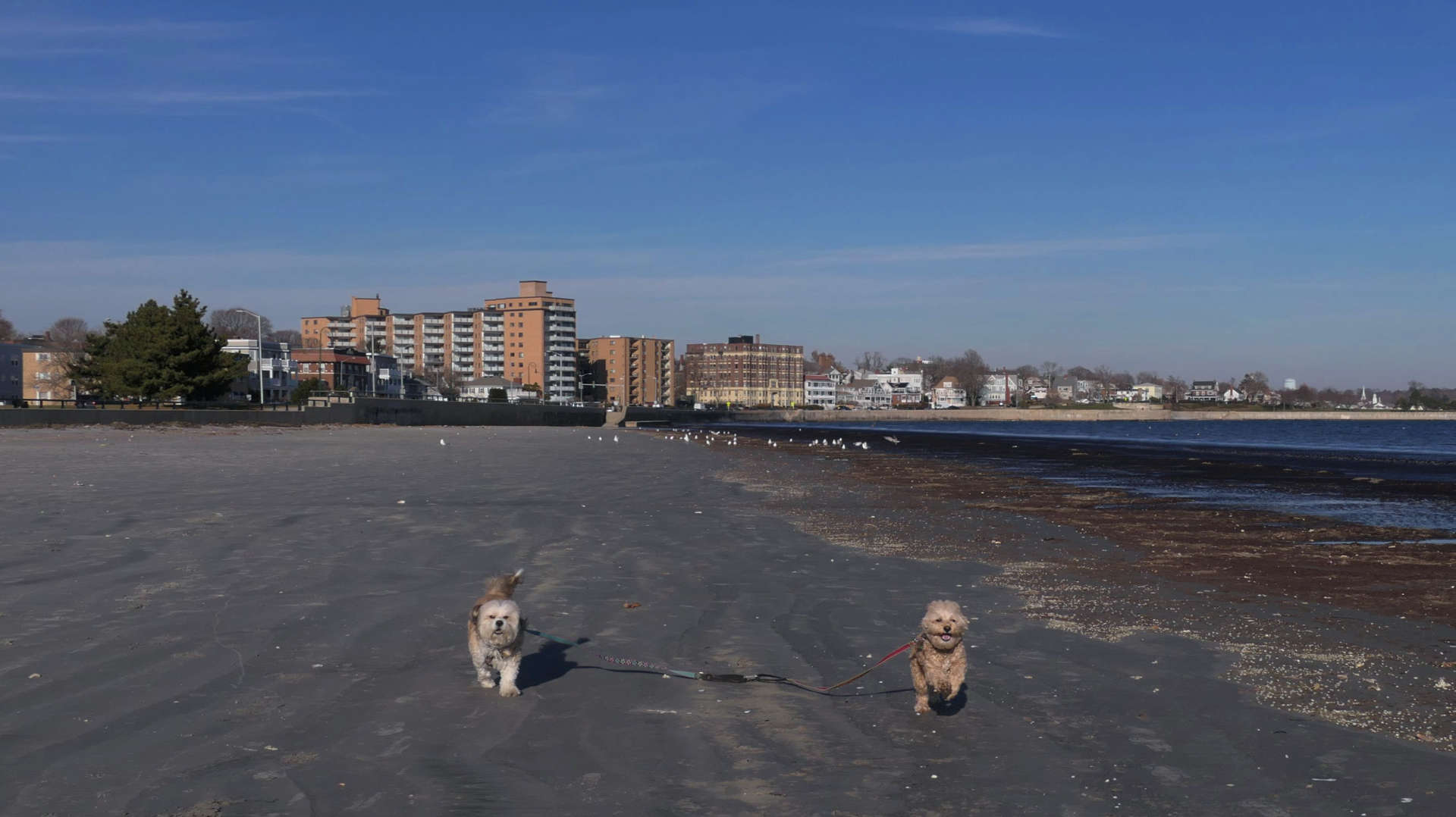 Nahant2