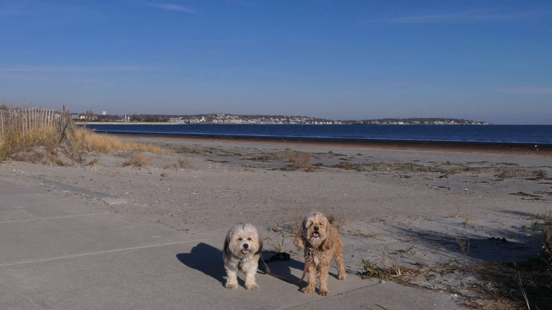 Nahant3