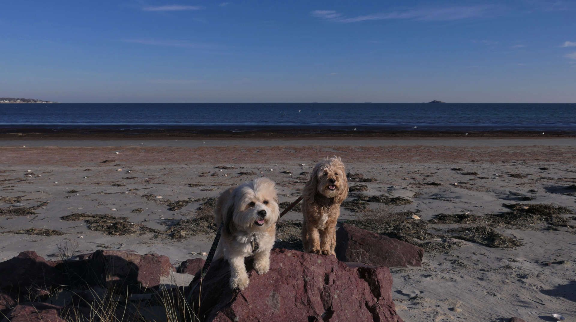 Nahant4