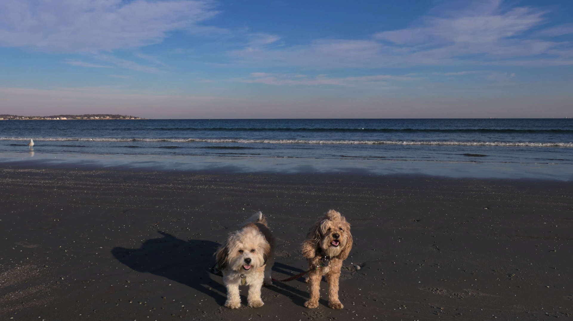 Nahant9