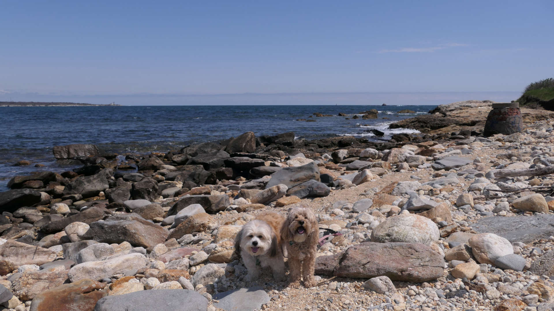 Narragansett101