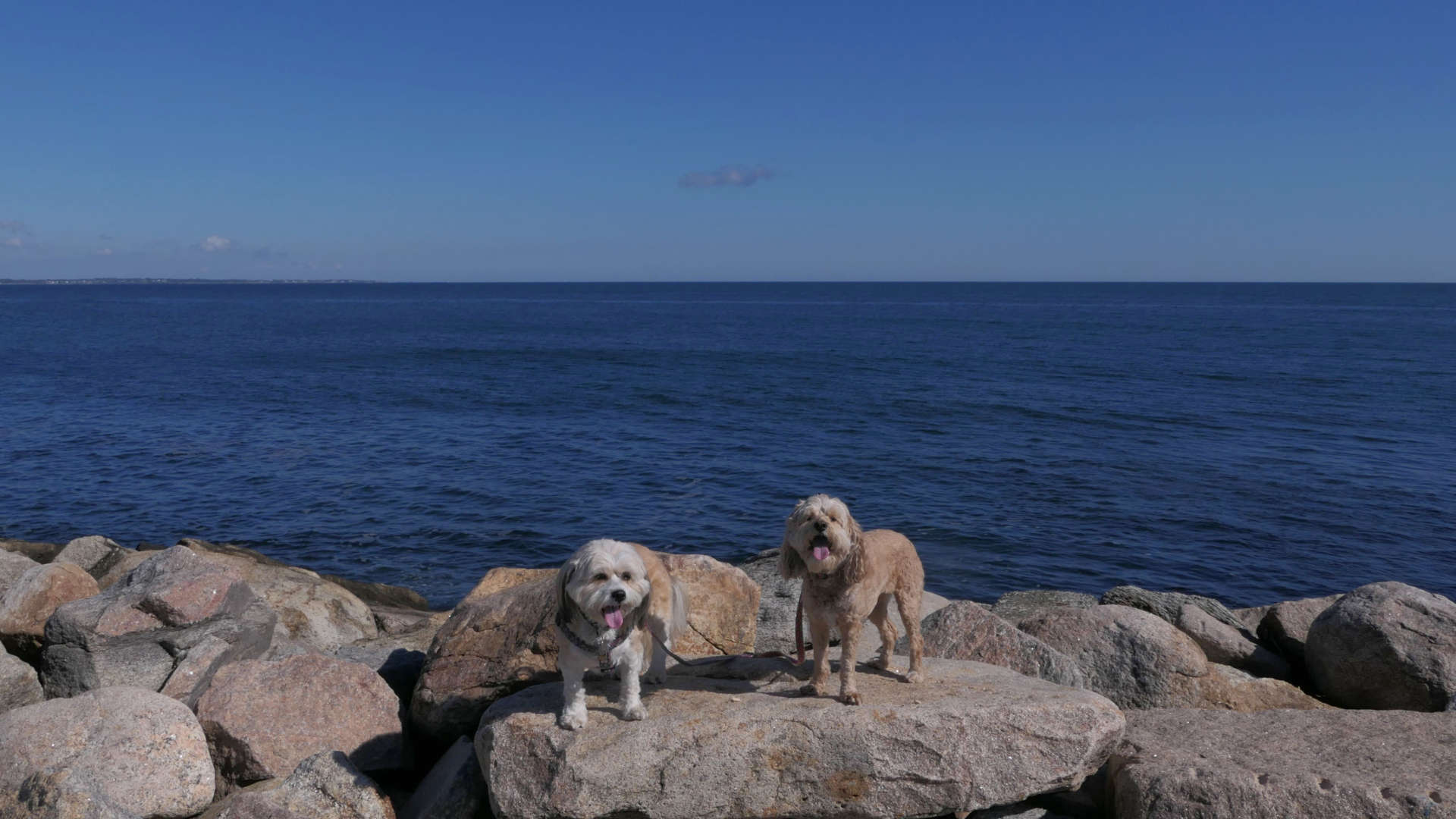 Narragansett199