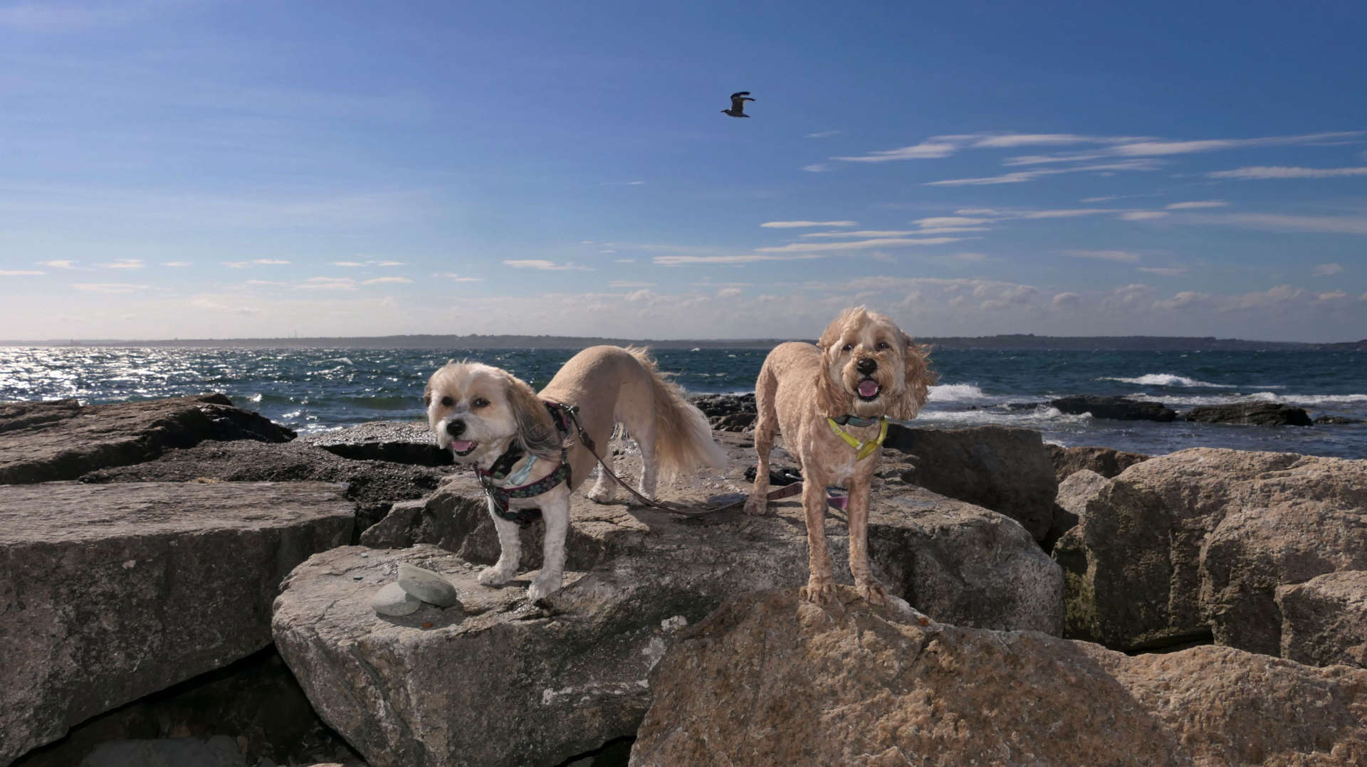 Brenton Point State Park