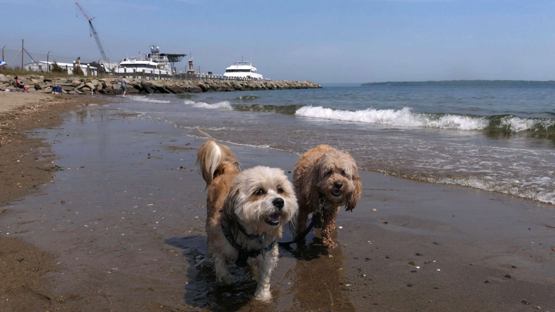 Compass Rose Beach