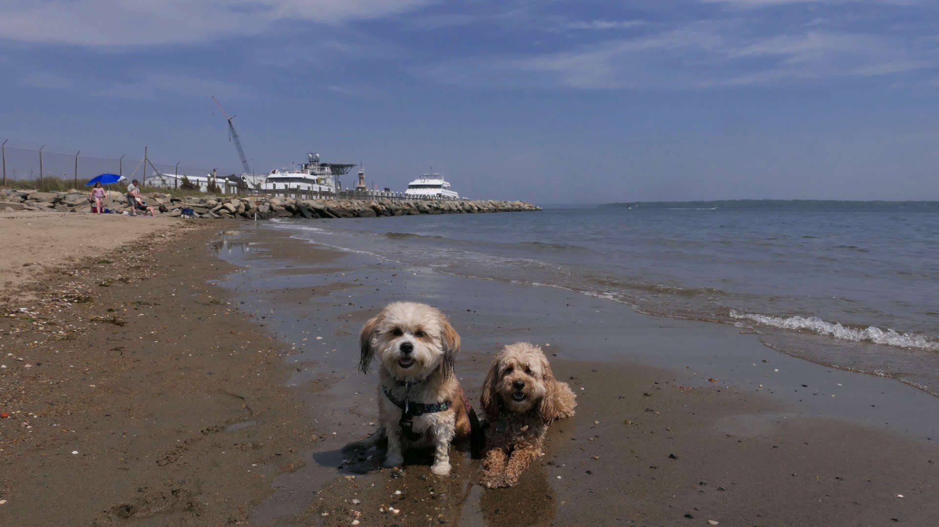 Compass Rose Beach