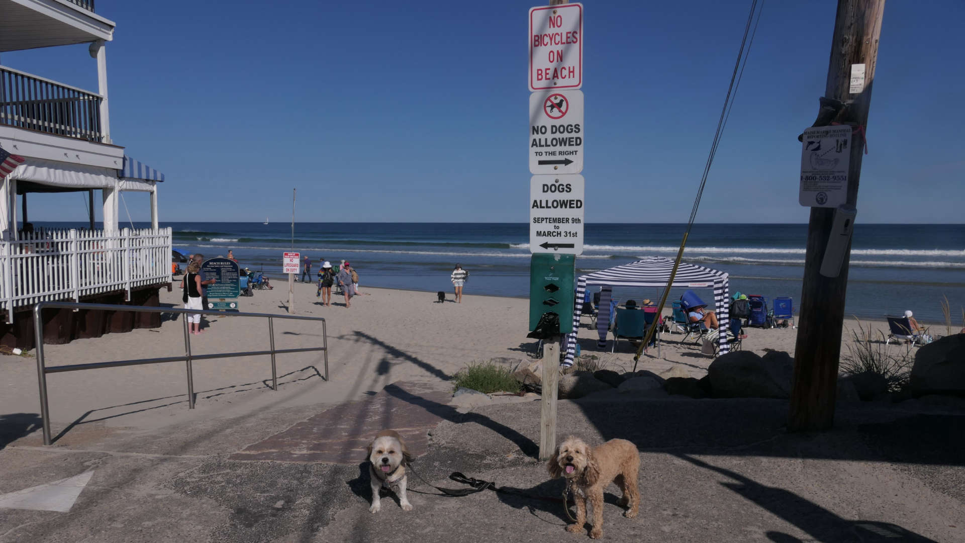 Ogunquit2