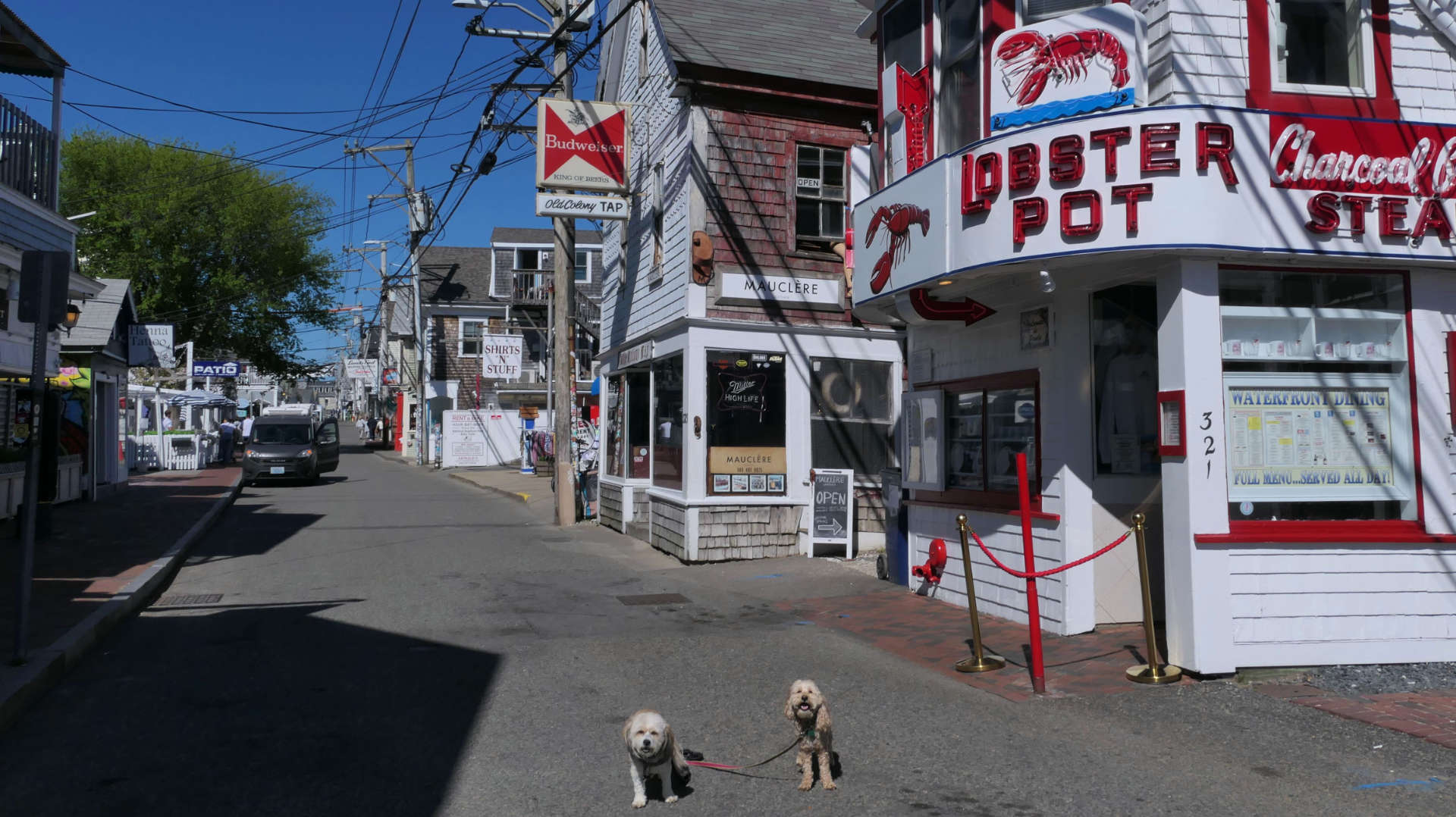 Provincetown18