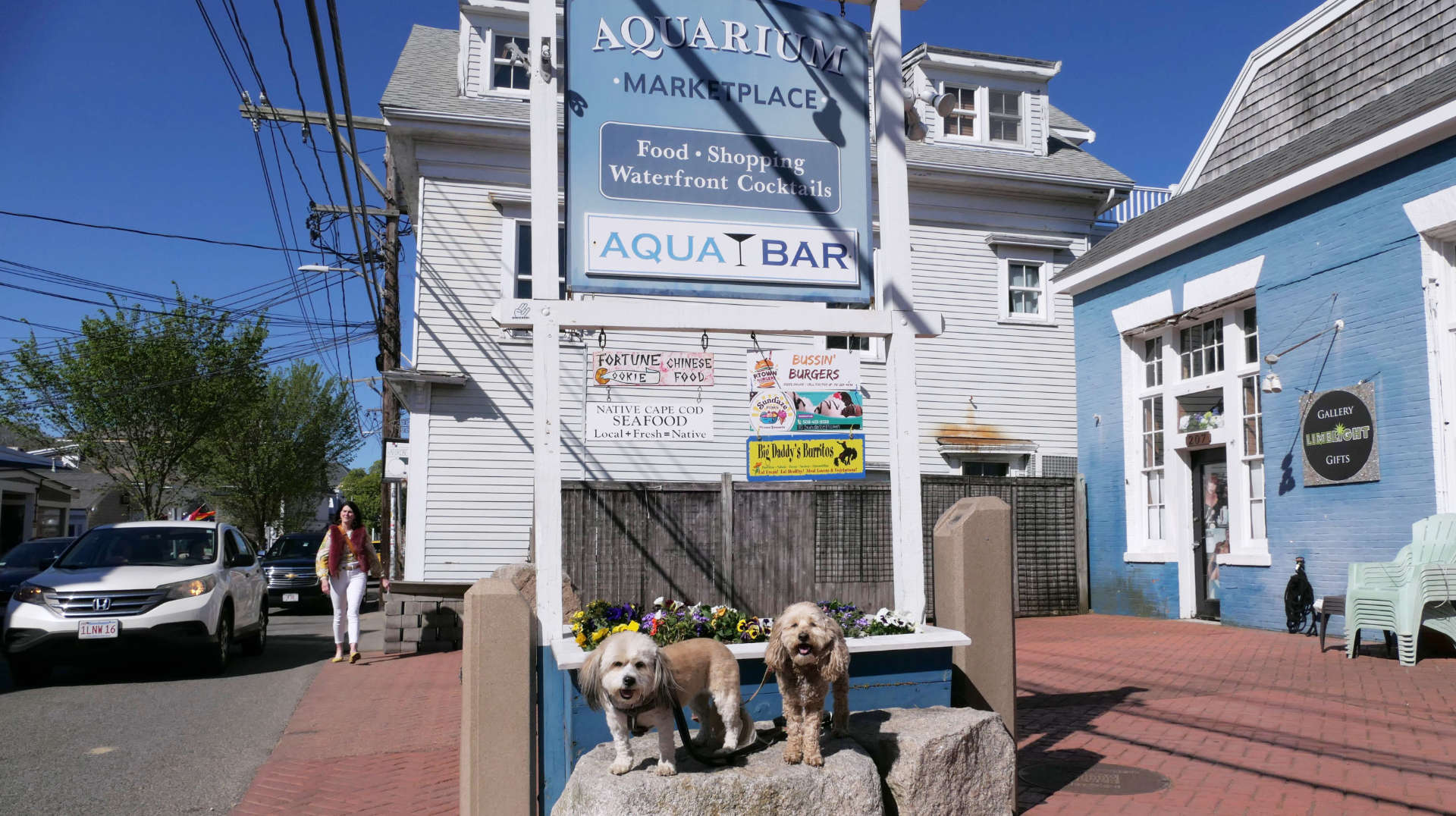 Provincetown34