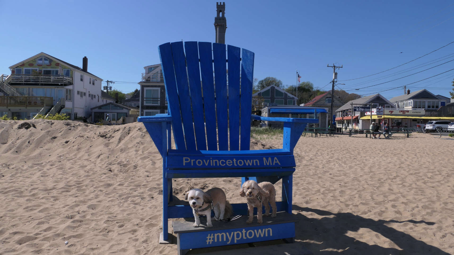 Provincetown49