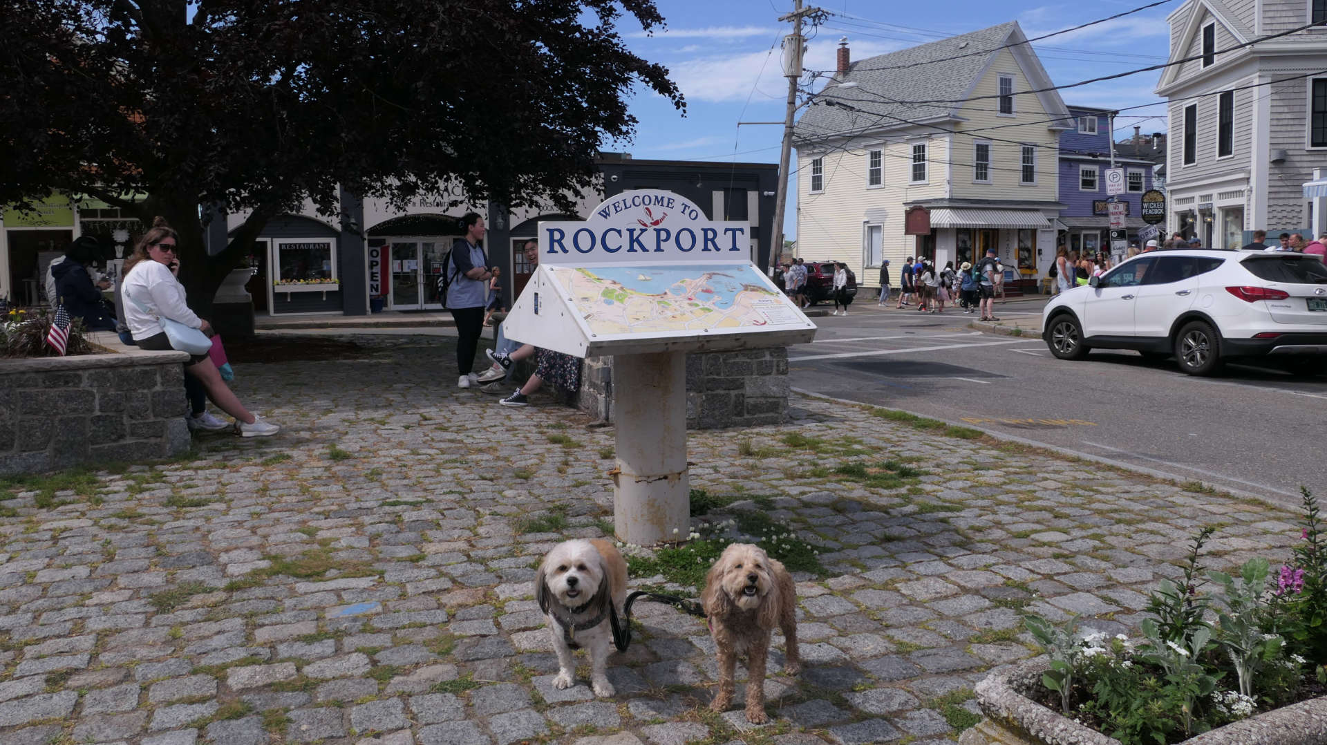 Rockport12