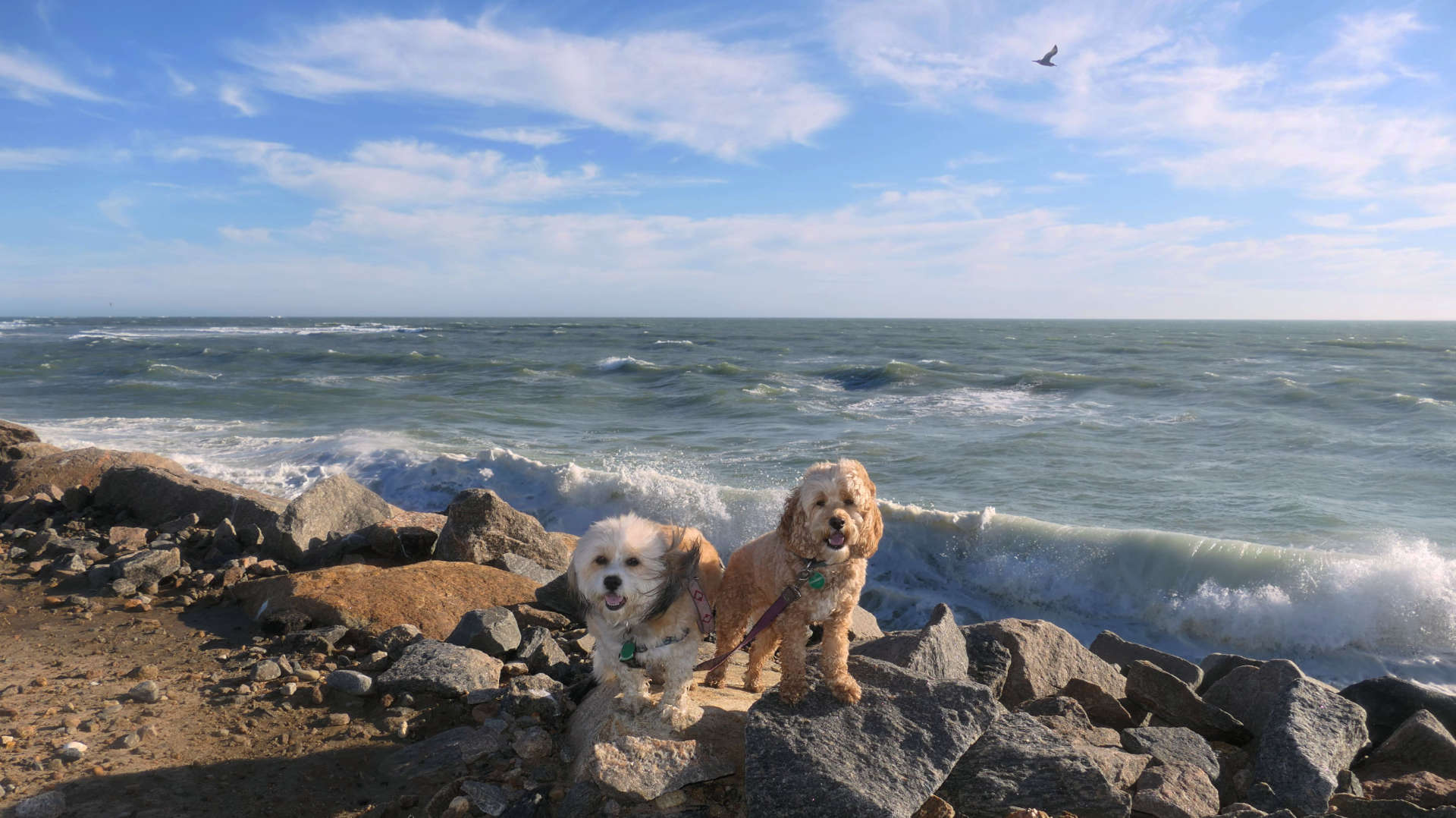 South Kingstown Town Beach