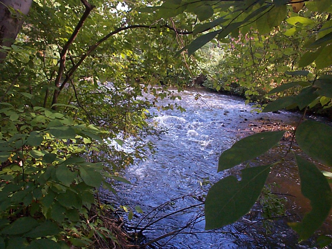 Hockanum River in 1999