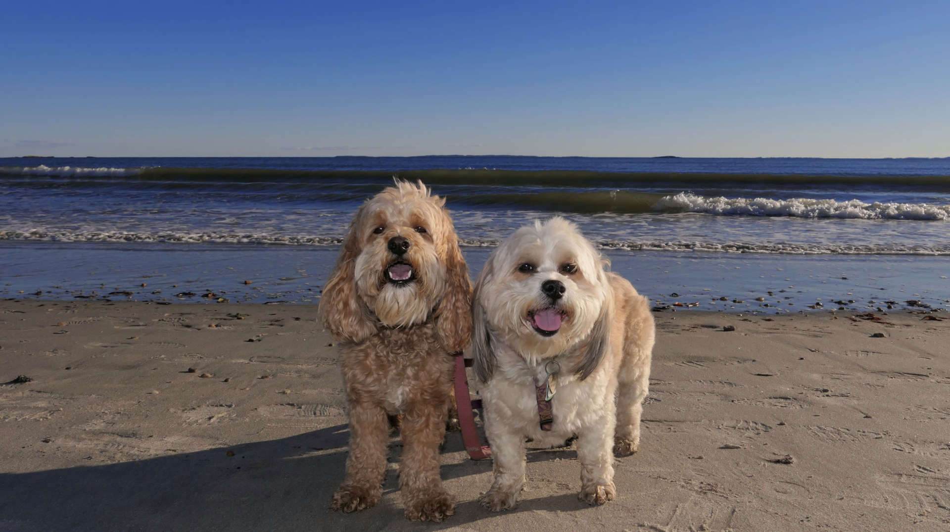 Rocky Neck State Park