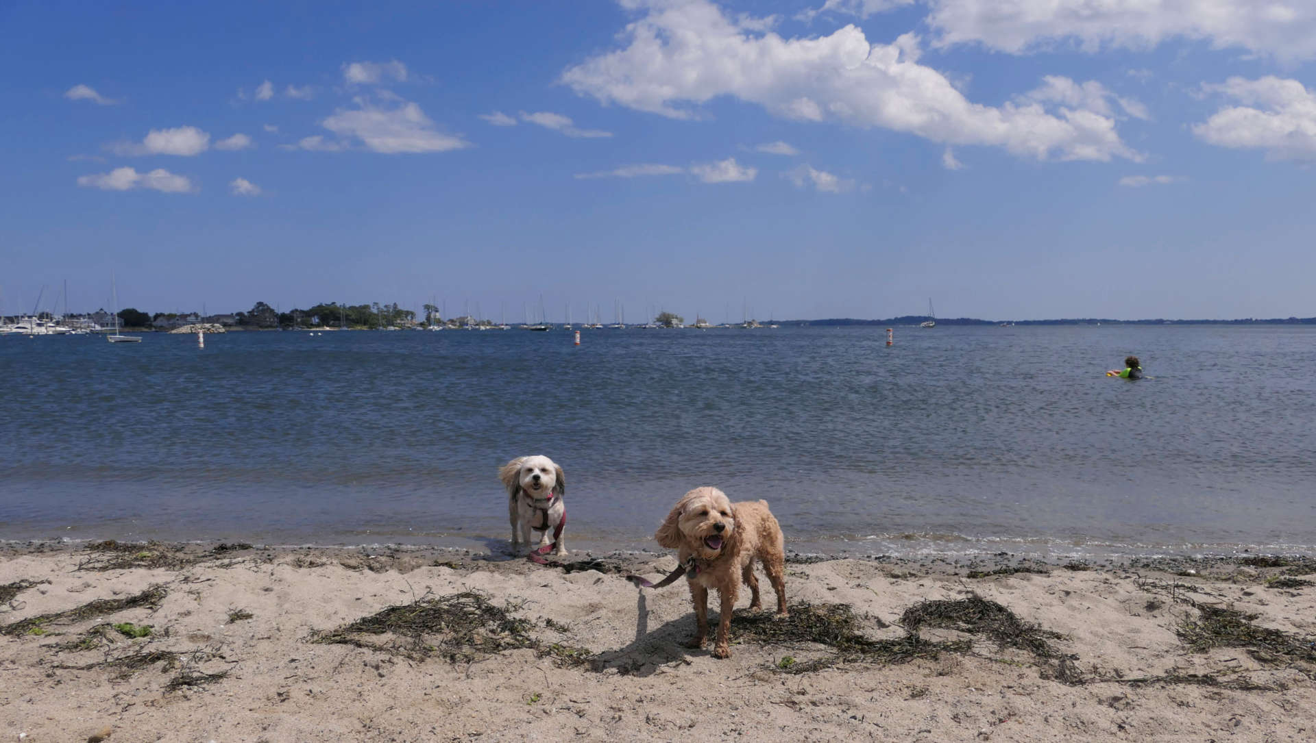 Esker Point Beach