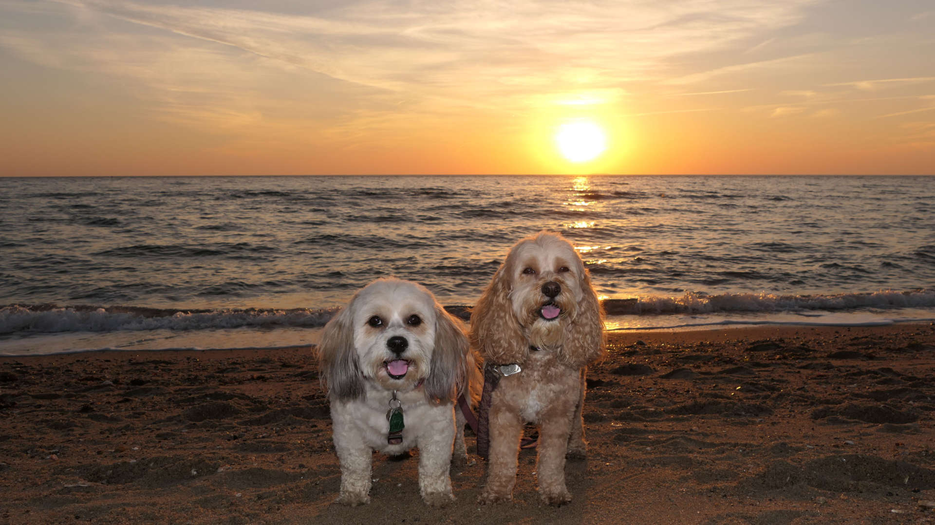 Hammonasset Beach State Park