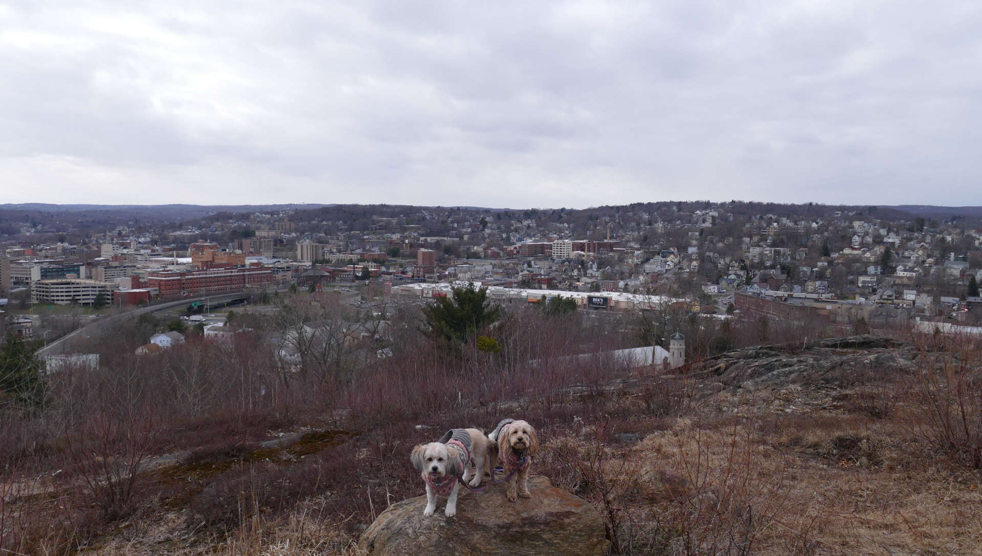 Waterbury_7